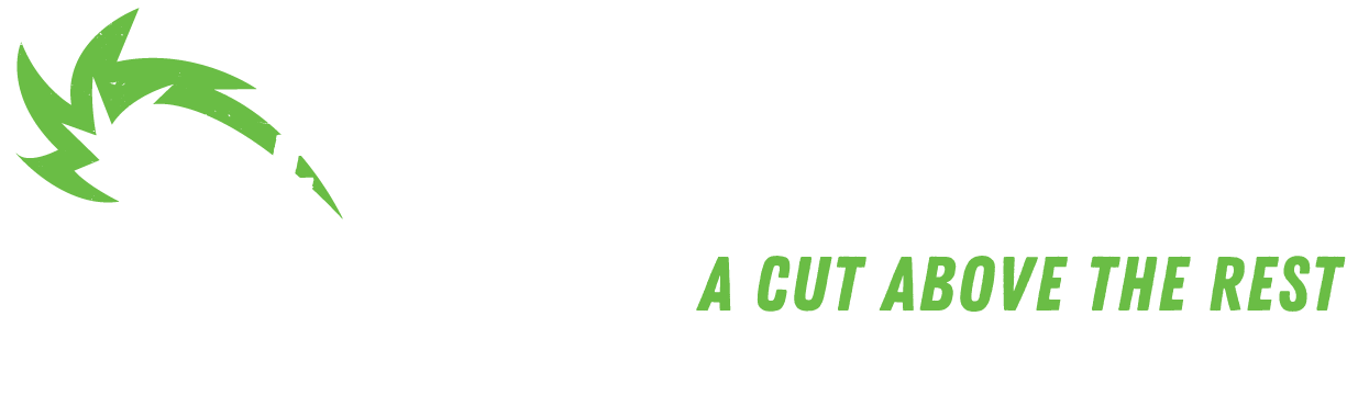 Tree Cutters of Florida
